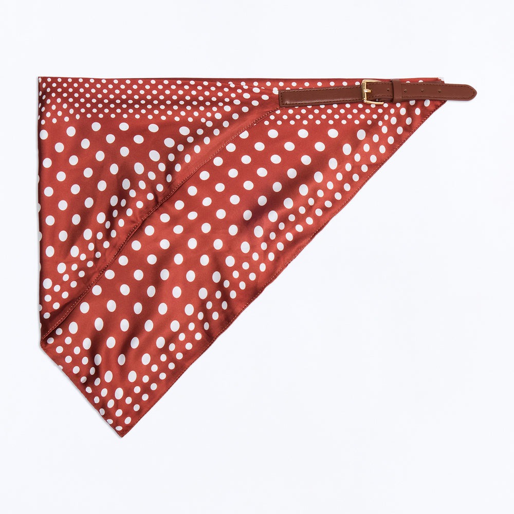 Adventure Ahead Bandana Scarf Belt
