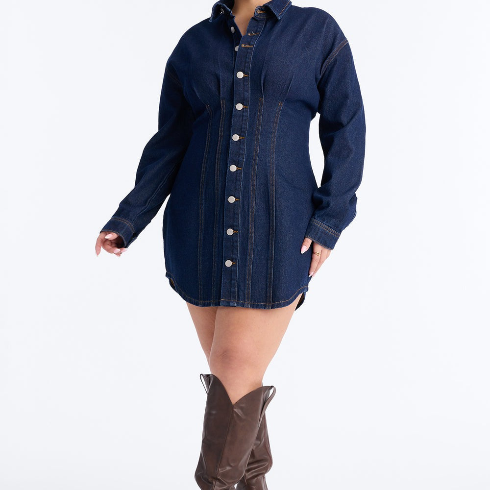Alessandra Denim Mini Dress