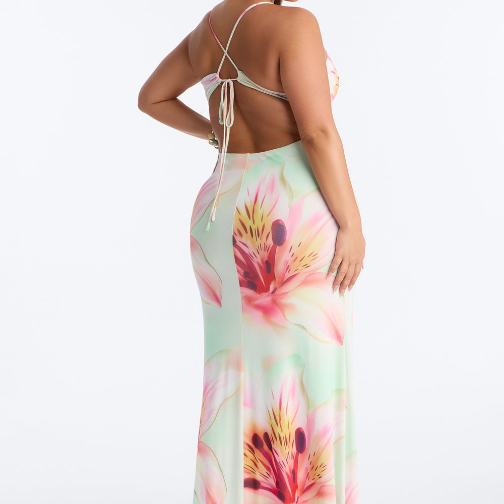 Alexandria Floral Mesh Maxi Dress