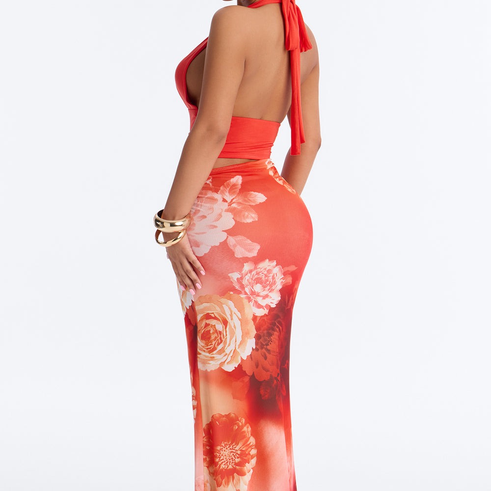 Ainslee Floral Mesh Maxi Dress