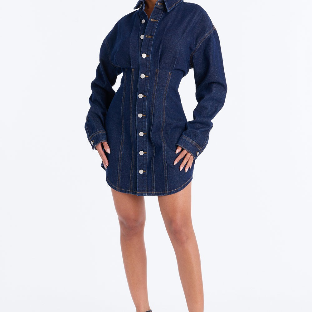Alessandra Denim Mini Dress