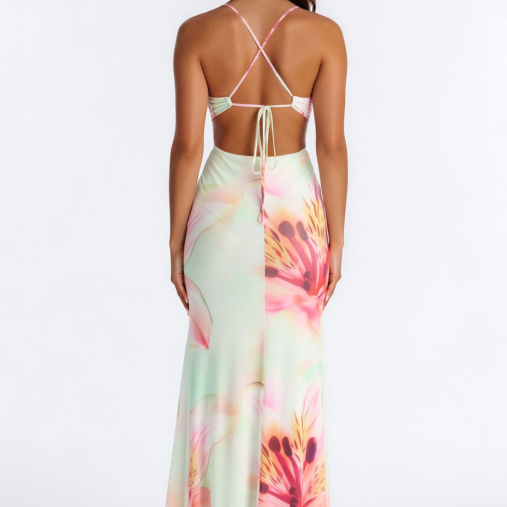 Alexandria Floral Mesh Maxi Dress