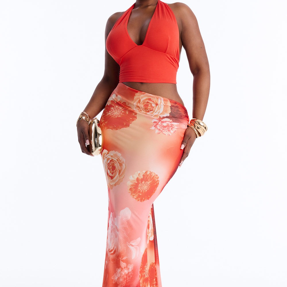Ainslee Floral Mesh Maxi Dress